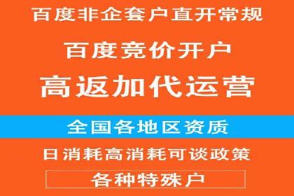 实战技巧：竞价推广案例解析与效果评估